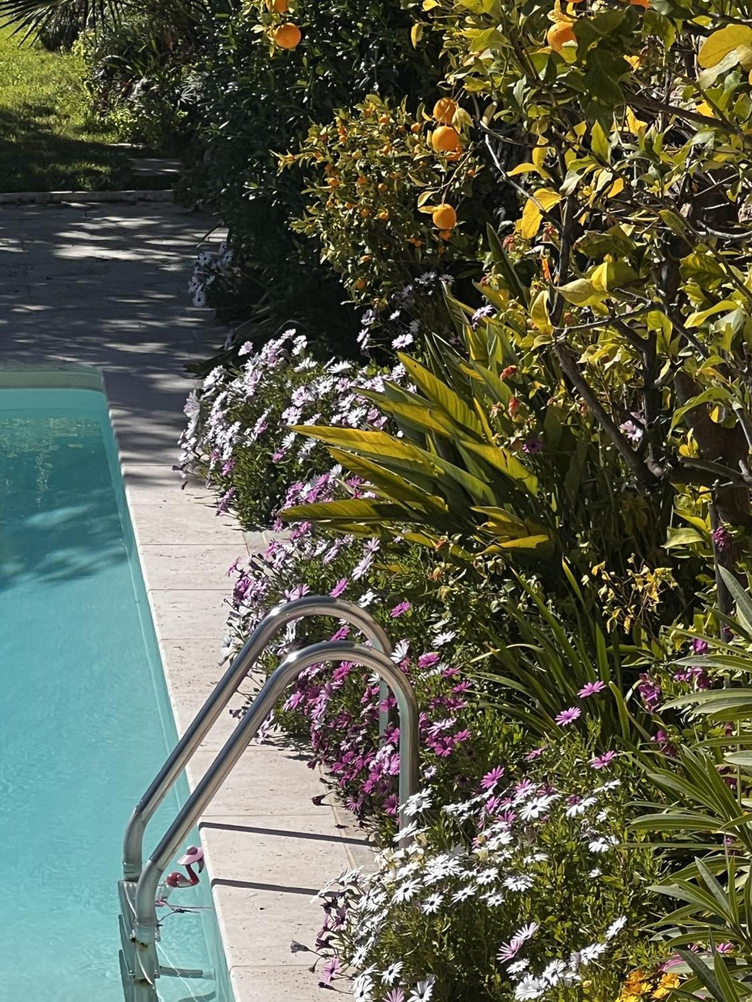 Maison d'hôtes Les Petites Terrasses Grasse